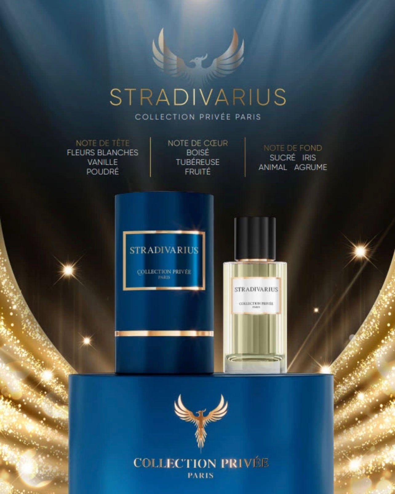 Stradivarius - CP